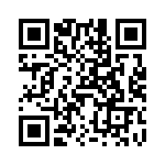 V28C48T100BL QRCode