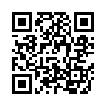 V300B28E250BG3 QRCode