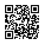 V300B28T150BS QRCode