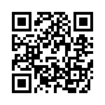 V300B28T250B QRCode