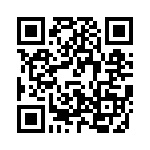 V300B28T250BG QRCode