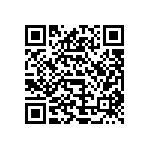 V300B3V3T100BF2 QRCode