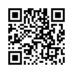 V48B28T250B QRCode