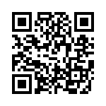 VE1330500000G QRCode