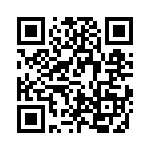 VE13M03850K QRCode