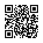 VE13P00301K QRCode