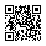 VG95234A181PN1 QRCode