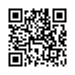 VG95234A181SN1 QRCode