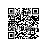 VG95234B1-16-10PN QRCode