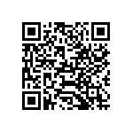 VG95234B1-22-2P1X QRCode