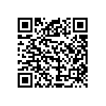 VG95234B1181SX1 QRCode