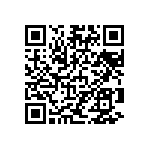 VG95234B12821PX QRCode