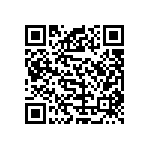 VG95234B1366P1N QRCode