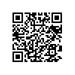 VG95234E-22B22PN QRCode