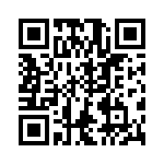 VG95234E1181PN QRCode