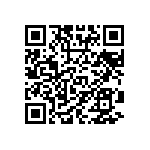VG95234F-20A48SN QRCode
