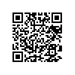 VG95234G-22-2S1N QRCode