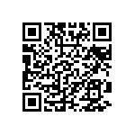 VG95234M-22-22PZ QRCode