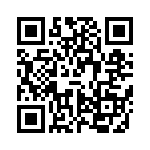 VI-27H-IX-B1 QRCode