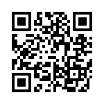 VI-2T3-EY-B1 QRCode