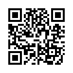 VI-2V3-IX QRCode