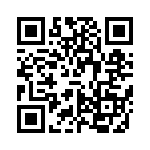 VI-2V4-IX-B1 QRCode