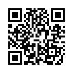 VI-B20-IX QRCode