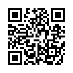 VI-B22-IX-F4 QRCode