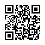 VI-B31-IX-B1 QRCode