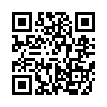 VI-B3P-EY-B1 QRCode