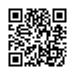 VI-B3V-EV QRCode