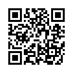 VI-B4N-IX-B1 QRCode