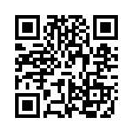 VI-B4P-IX QRCode