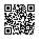 VI-B51-IX-B1 QRCode