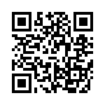 VI-B52-IV-F1 QRCode