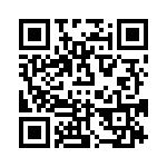 VI-BNJ-EV-B1 QRCode