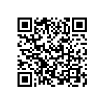 VJ0402D0R2BLAAC QRCode