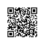 VJ0402D0R6BXBAJ QRCode