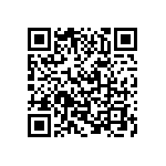 VJ0402D0R9BLBAJ QRCode