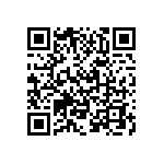 VJ0402D0R9DLBAJ QRCode