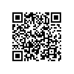 VJ0402D2R2DLCAP QRCode