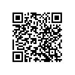 VJ1111D300JXRAJ QRCode