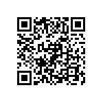 VJ1206A300KBGAT4X QRCode