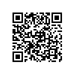 VJ1206A360JBCAT4X QRCode