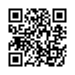 W2A45A100KAT2A QRCode