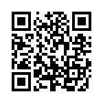 W79E4051AKG QRCode