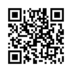 X9313WSMT2_222 QRCode