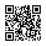 XBP9B-DMUT-022 QRCode