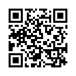 XC9802B393DR-G QRCode