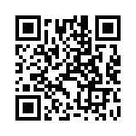 XC9802B593ER-G QRCode